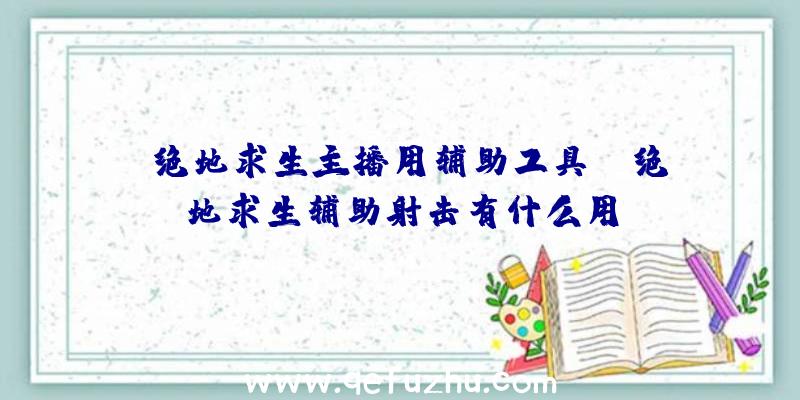 「绝地求生主播用辅助工具」|绝地求生辅助射击有什么用